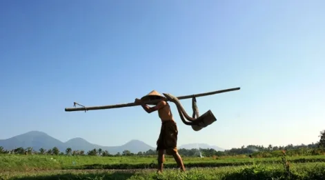 A Deep Cultural And Paddy Farming Immersion In South Bali photo 4