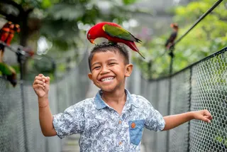 Bali Bird Park in Batubulan media 5