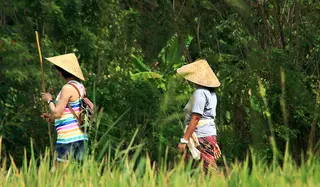 Taman Sari Buwana Local Life Experience In Tabanan media 5