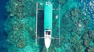 Blue Ocean Dive and Snorkeling in Padang Bai media 2