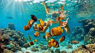 Blue Ocean Dive and Snorkeling in Padang Bai media 3