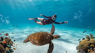 Blue Ocean Dive and Snorkeling in Padang Bai media 4