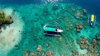 Blue Ocean Dive and Snorkeling in Padang Bai media 5
