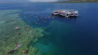Menjangan Island Trip in Buleleng media 2