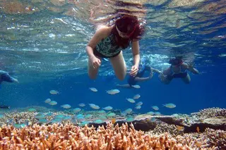 Menjangan Island Trip in Buleleng media 3
