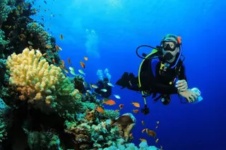 Menjangan Island Trip in Buleleng media 4