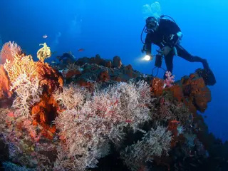 Menjangan Island Trip in Buleleng media 5