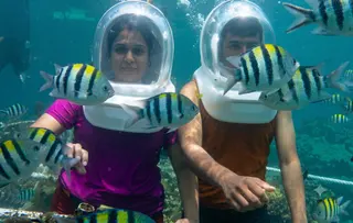Pandan Sari Dive And Watersports in Benoa media 2