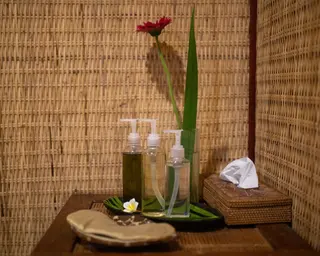 Aura Wellness Sanctuary in Ubud media 2