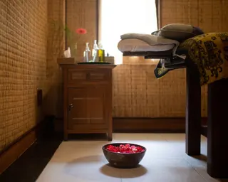 Aura Wellness Sanctuary in Ubud media 3