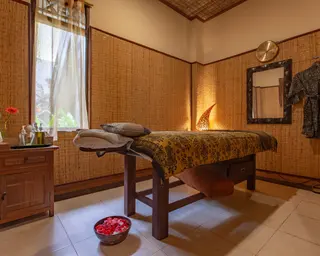 Aura Wellness Sanctuary in Ubud media 4