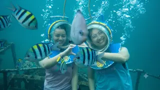 Bayu Suta Aquamarlin Dive And Watersports at Tanjung Benoa media 2