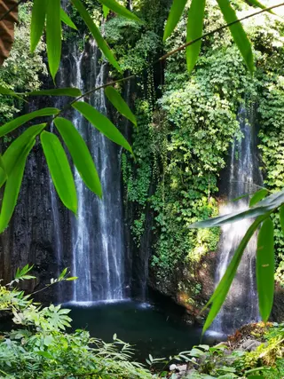 Munduk Wilderness Safari Journey In North Bali media 3