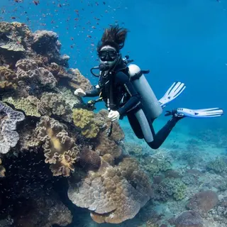 Octopus Dive in Nusa Penida media 2