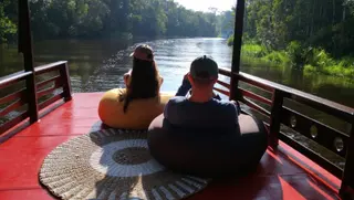 Orang Utan Tour In Borneo media 4