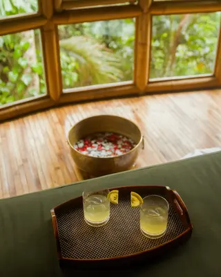 Mekar Jungle Spa in Ubud media 5