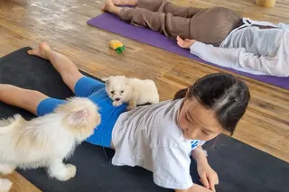 Puppy Yoga Bali in Ubud media 5
