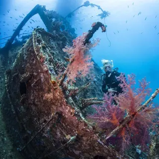 Euro Dive in Amed media 2