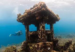 Euro Dive in Amed media 3