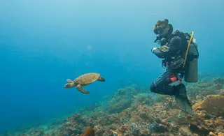 Euro Dive in Amed media 4