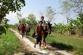 Kuda P Stable in Tabanan media 2