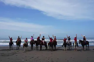 Kuda P Stable in Tabanan media 5