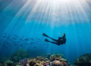 French Kiss Divers Diving In Nusa Lembongan media 2