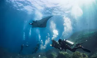French Kiss Divers Diving In Nusa Lembongan media 4