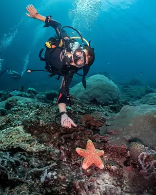 French Kiss Divers Diving In Nusa Lembongan media 5