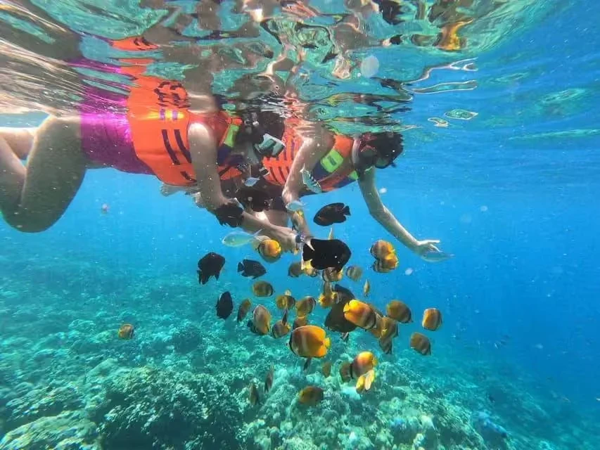 Lantur Organize Snorkeling in Amed