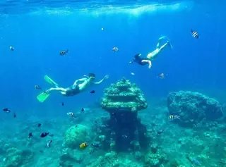 Lantur Organize Snorkeling in Amed media 2