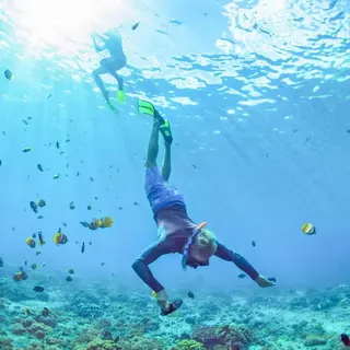 Lantur Organize Snorkeling in Amed media 3