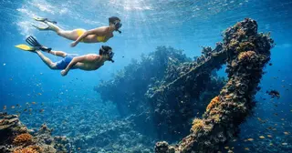 Lantur Organize Snorkeling in Amed media 4