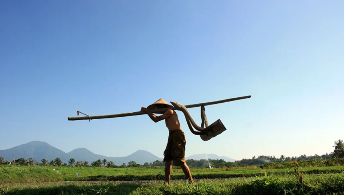 Village And Farming