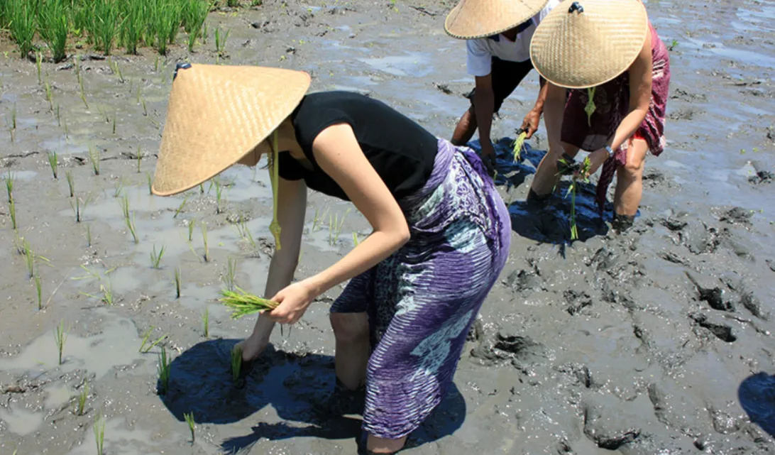 Combination Village, Farming and Trekking Package