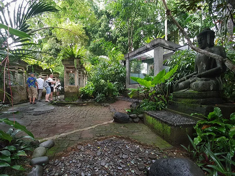 Bali Reptile Park Wildwood Adventure and Conservation Tour