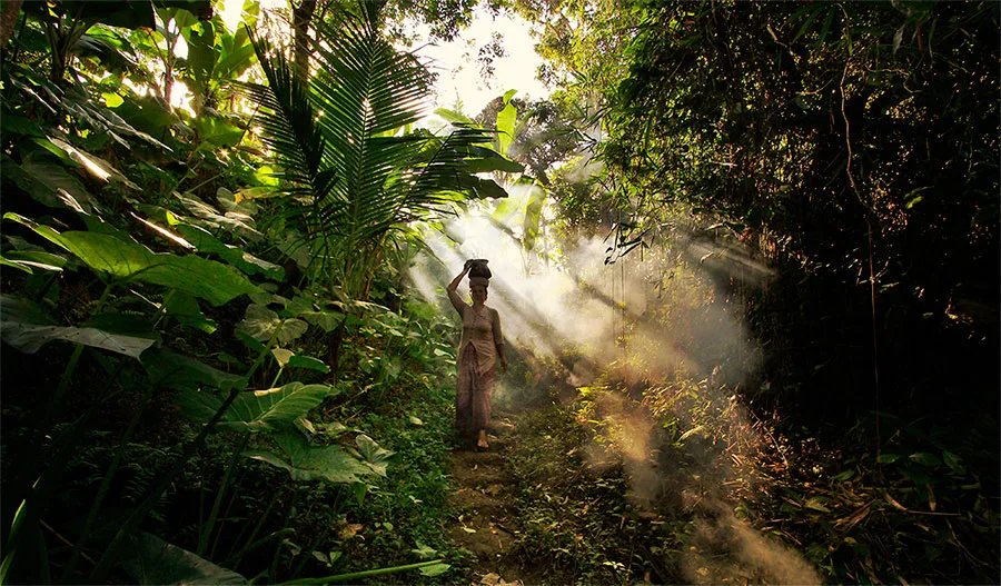 7 Hours A Deep Cultural And Paddy Farming Immersion