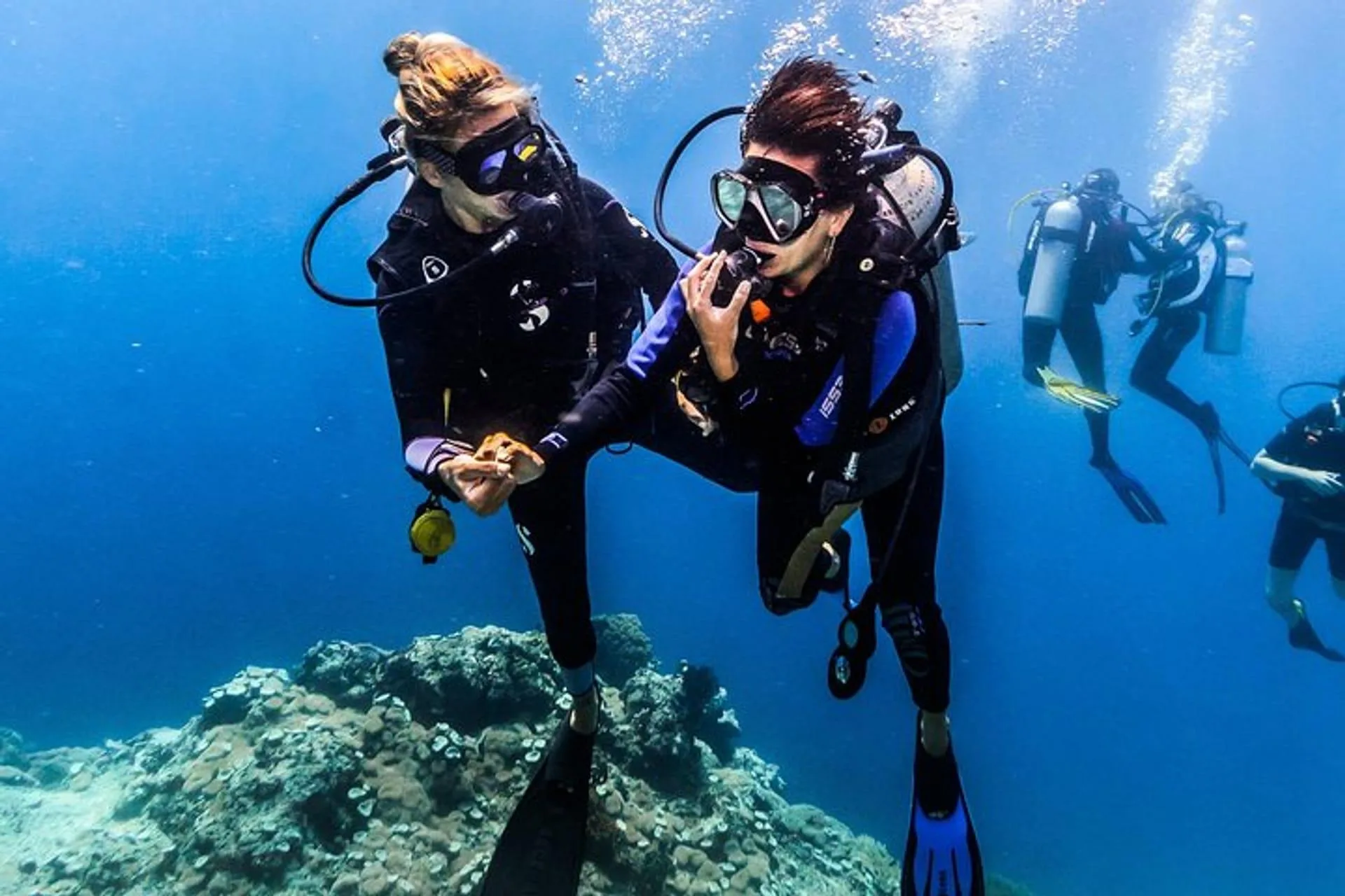 Private Certified Diving In Menjangan Island
