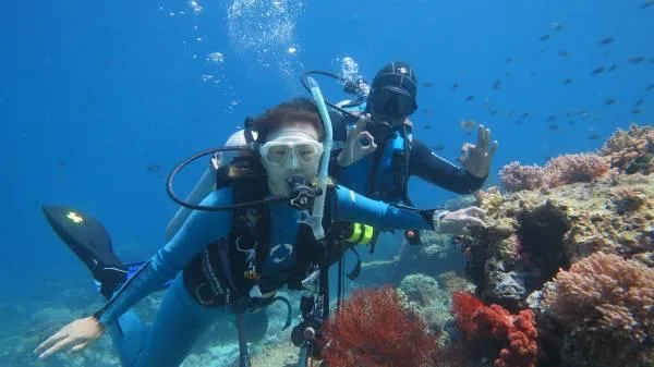 First Time Divers (Try Scuba) Shared Boat In Menjangan Island