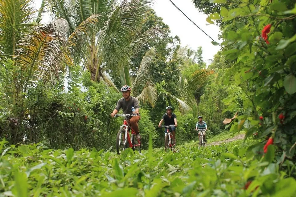5 Hours Downhill Bike, Hike & 4WD Safari