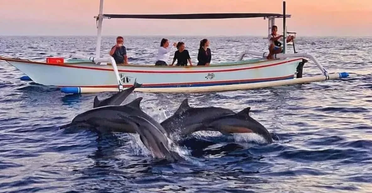 Dolphin & Coral Reef Snorkeling Sharing Boat