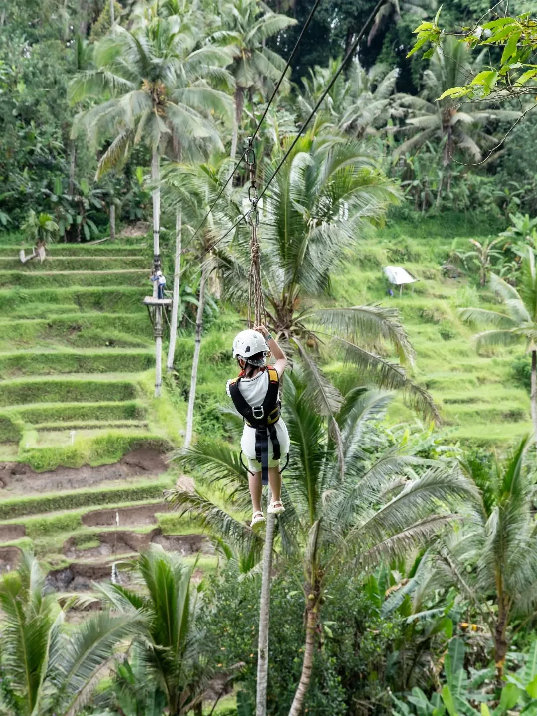 U Zipline Adventure