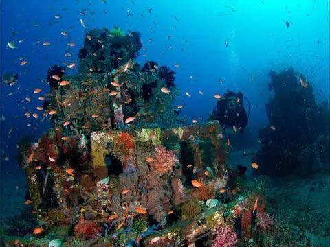 First Dive Ocean Experience
