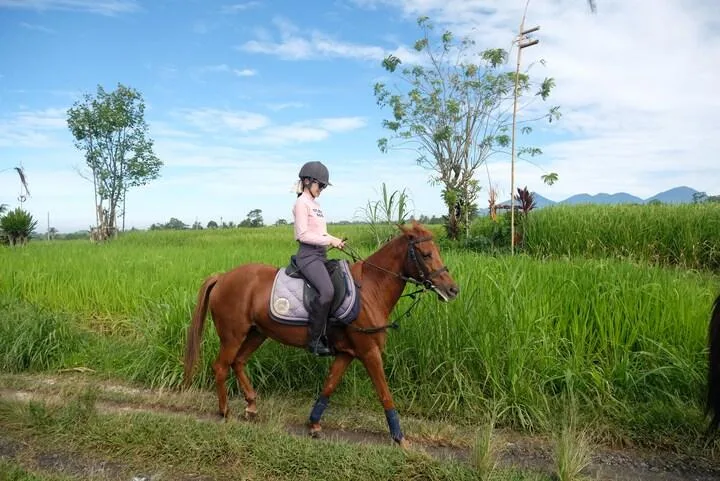 Scenic Long Horse Riding Journey
